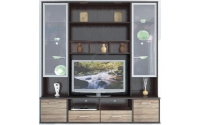 Parlors/Module/child/sektsiya-rtv-vitrina6
