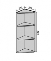№55 Верх закінчення Люкс Vip-Master